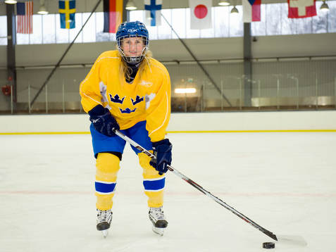 Anna Borgfeldt, Sverige