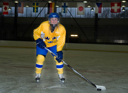 Anna Borgfeldt, Sverige