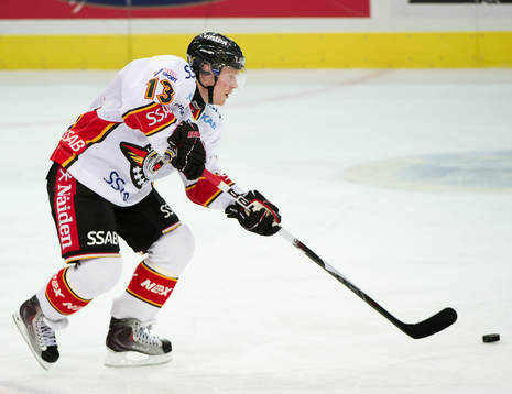 Sebastian Meijer, Luleå
