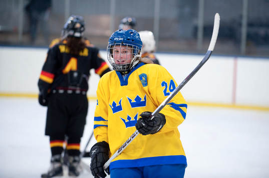 Teddie Falkeborn, Sverige