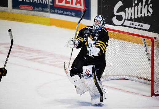 Viktor Fasth, målvakt, AIK, jubel