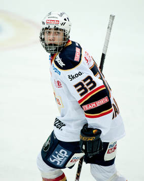 Mika Zibanejad, Djurgården