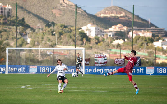 Mattias Bjärsmyr, Rosenborg, Sorin Frunza, Rapid