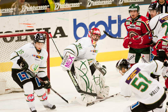 Alexander Salak, Färjestad