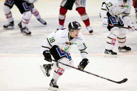 Robin Sterner, Färjestad