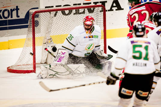 Alexander Salak, Färjestad