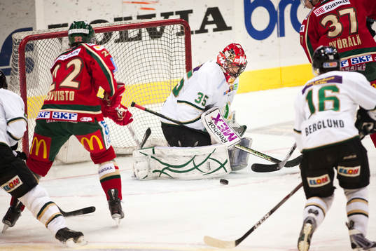 Alexander Salak, Färjestad