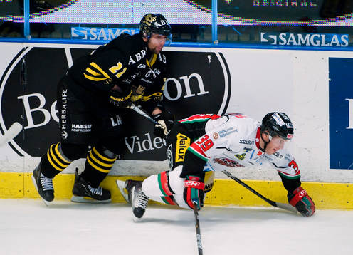 Richard Zednik, AIK och Per Svartvadet, Modo
