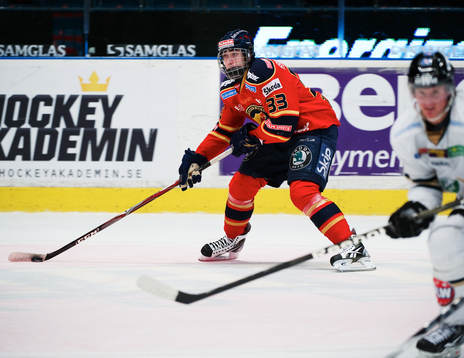 Mika Zibanejad, Djurgården