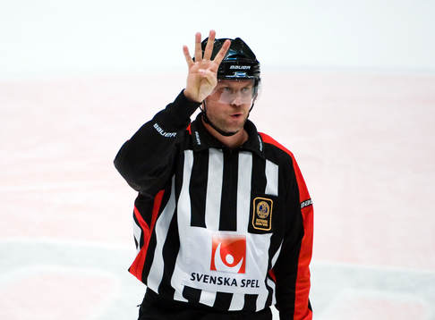 Ulf Rönnmark, domare