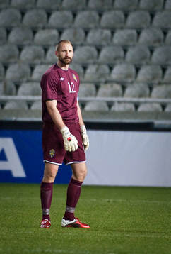 Johan Wiland, Sverige målvakt