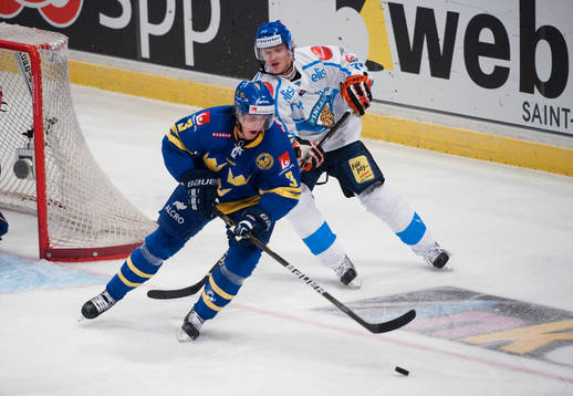 Sebastian Erixon, Sverige