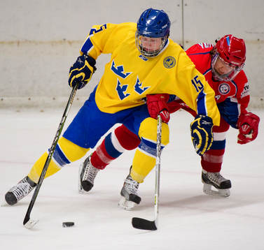 Frida Svedin Thunström, Sverige