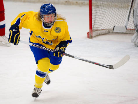 Anna Borgfeldt, Sverige
