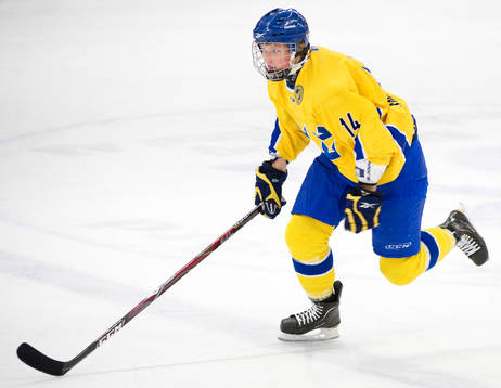 Malin Sonefors
