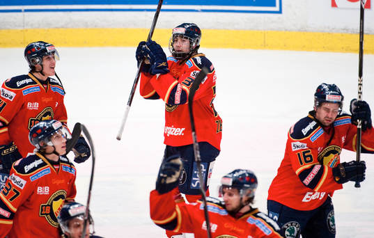 Mika Zibanejad,  Djurgården