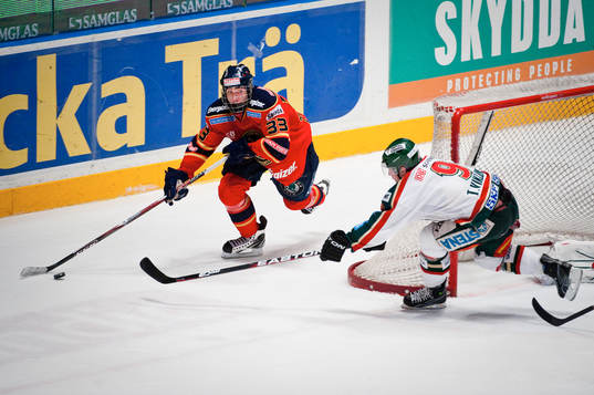 Mika Zibanejad,  Djurgården