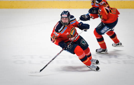 Mika Zibanejad,  Djurgården