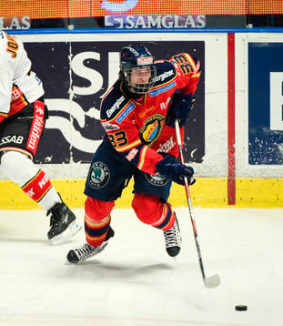 Mika Zibanejad, Djurgården