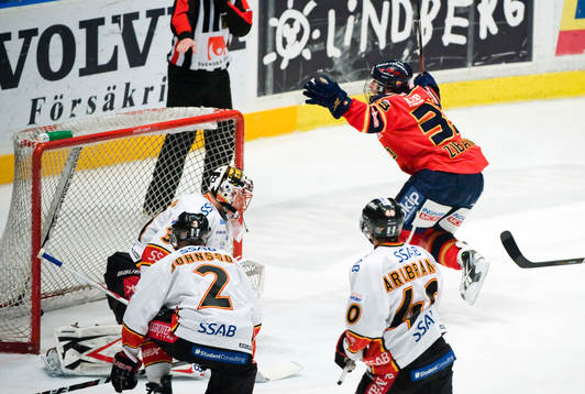 Mika Zibanejad, Djurgården