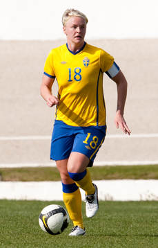 Nilla Fischer, Sverige