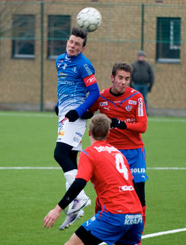 Kristian Haynes, Trelleborg