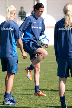 Lotta Schelin, Sverige