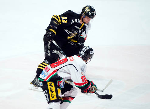 Richard Zednik, AIK