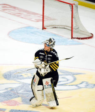 Viktor Fast, målvakt, AIK depp
