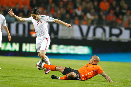 Nigel de Jong, Holland och Gergely Rudolf, Ungern