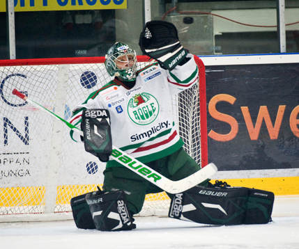 Joel Gistedt, målvakt