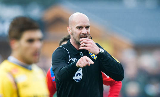 Stefan Johannesson, domare