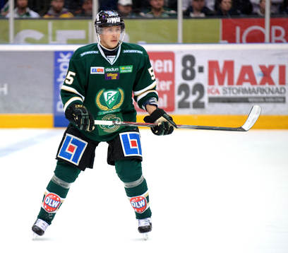 Martin Sevc, Färjestad