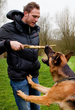 Andreas Granqvist i Groningen med hunden Dexter