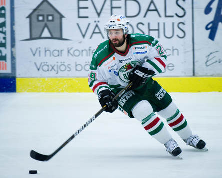 Eric Himelfarb, Rögle
