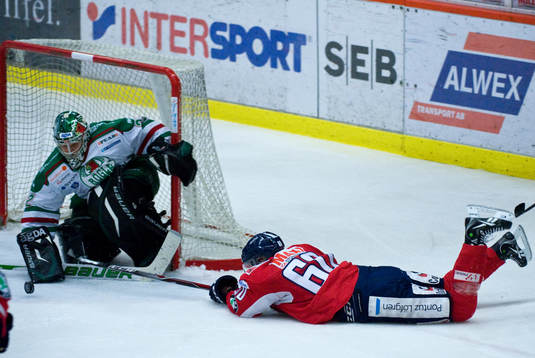 Erik Josefsson, Växjö, Jonas Fransson, målvakt, Rögle