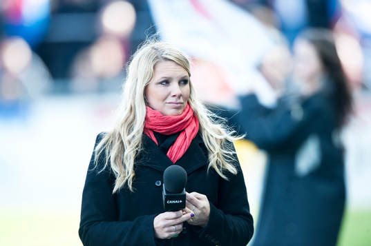 Anna Brolin, Reporter