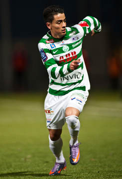 Koyar Salimi