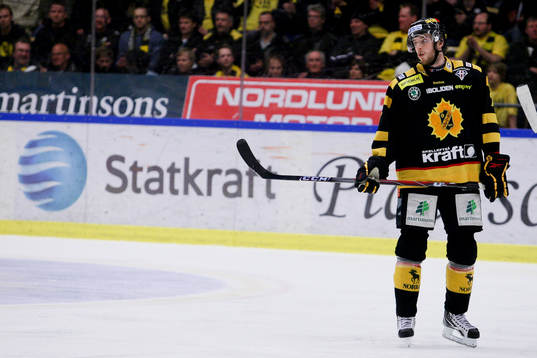 David Rundblad, Skellefteå, depp