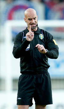 Domare Stefan Johannesson