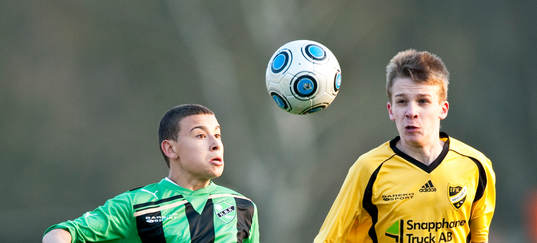 Jordan Larsson, Högaborg