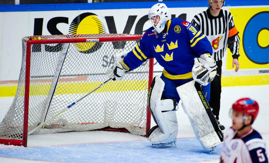 Viktor Fasth, målvakt, Sverige depp