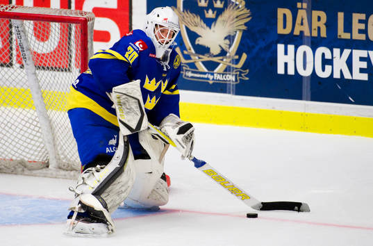 Viktor Fasth, målvakt, Sverige