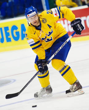 David Petrasek