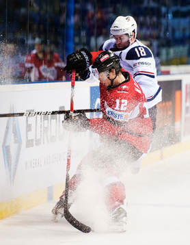 Michael Raffl, Österrike
