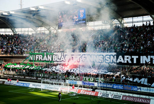 Gais tifo, bengaler, bengalisk eld