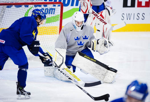 Viktor Fasth, målvakt