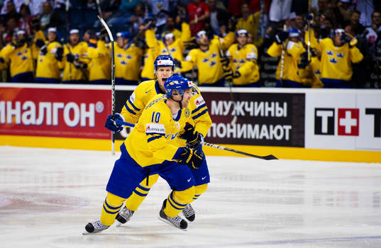 Carl Gunnarsson och Martin Thörnberg, Sverige, jubel