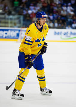 David Rundblad, Sverige