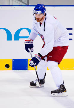Martin Havlat